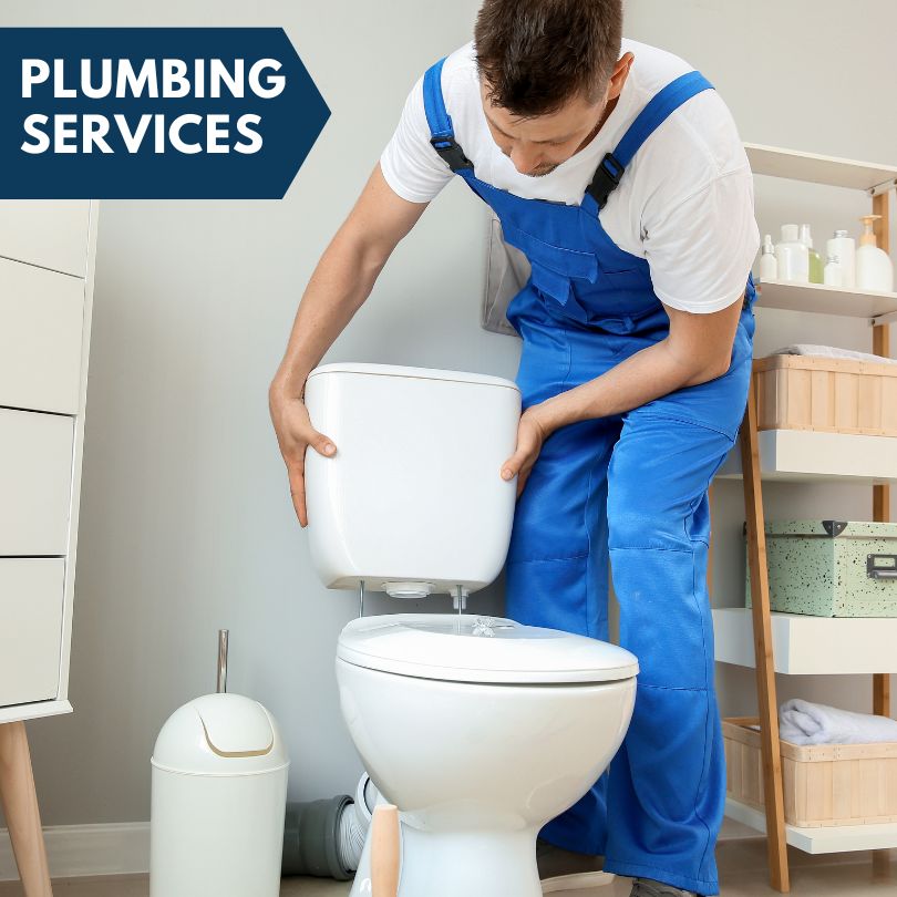 Plumbing Company in Tamms, IL